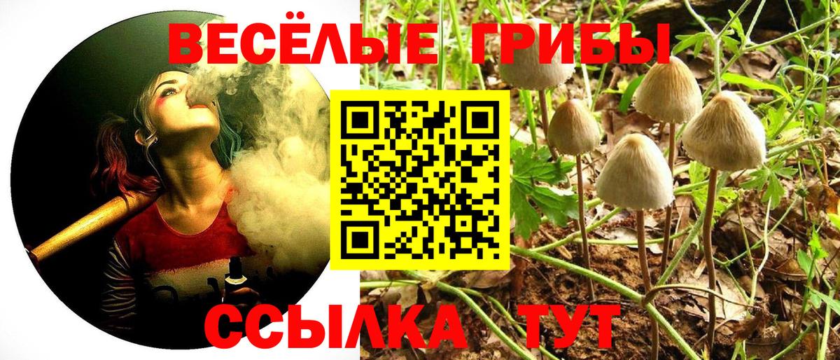 Псилоцибиновые грибы ЛСД  Вход с VPN  Гурьевск 