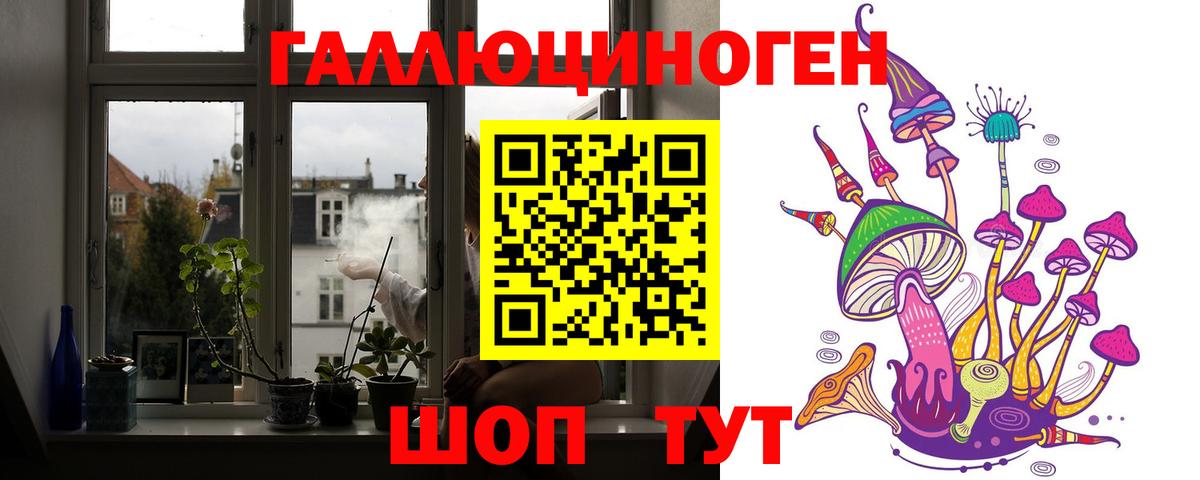 Галлюциногенные грибы Cubensis Гурьевск